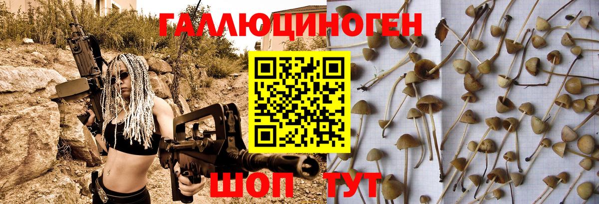Галлюциногенные грибы Psilocybine cubensis  Вход с VPN  Лабытнанги 
