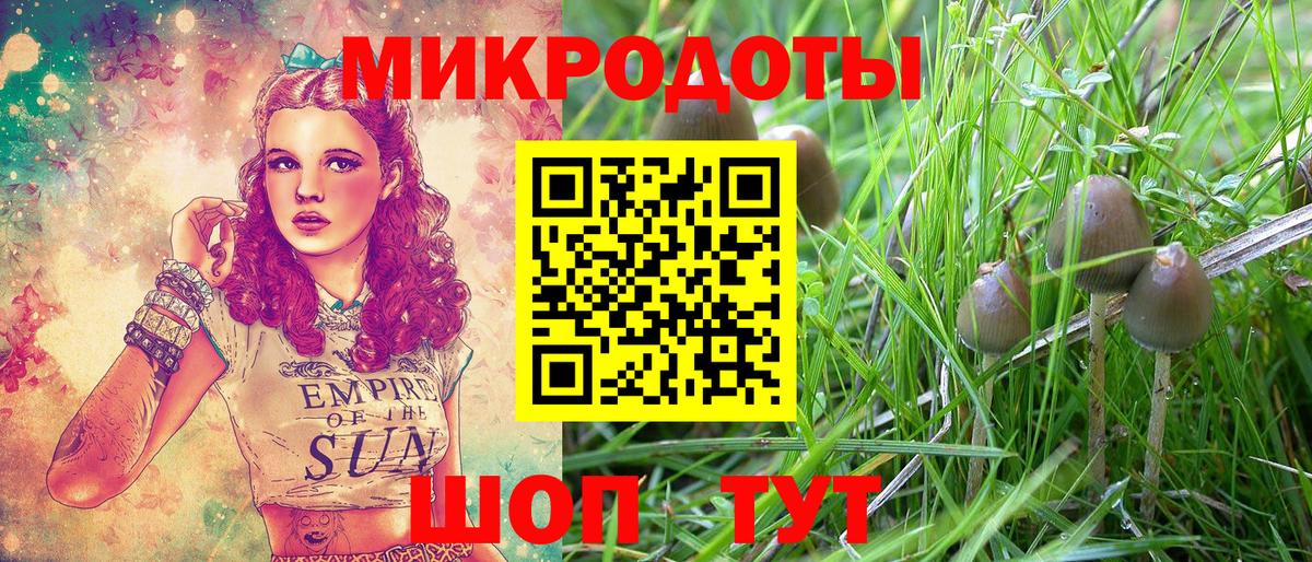 Галлюциногенные грибы мухоморы Лабытнанги