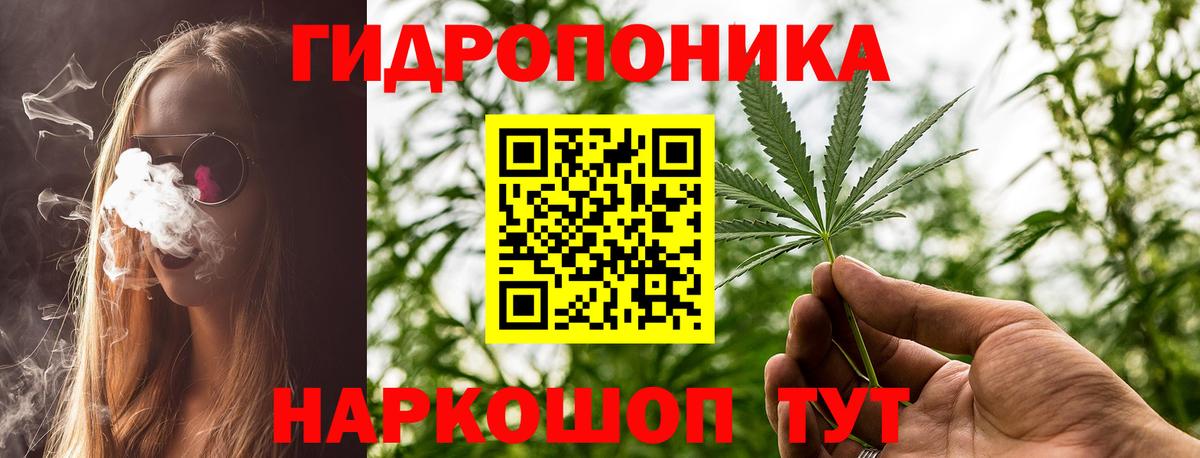 Лсд 25 Лабытнанги